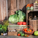 Подготовка погреба к осеннему хранению урожая: пошаговое руководство