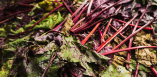 Что делать с ботвой: полезные способы утилизации и применения что делать с ботвой от свеклы для компоста