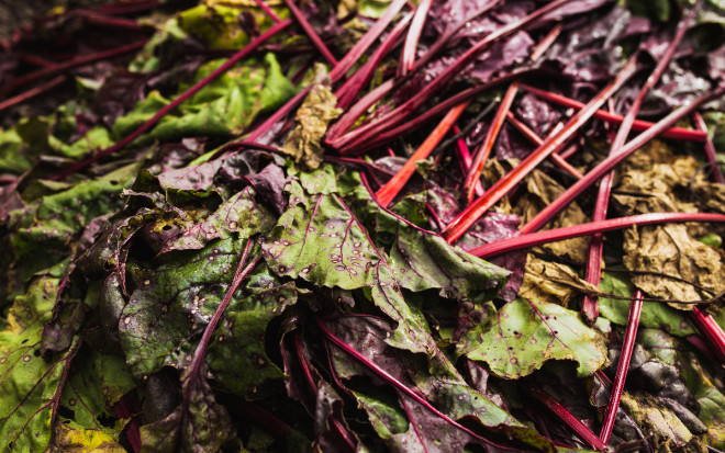 0 что делать с ботвой от свеклы для компоста