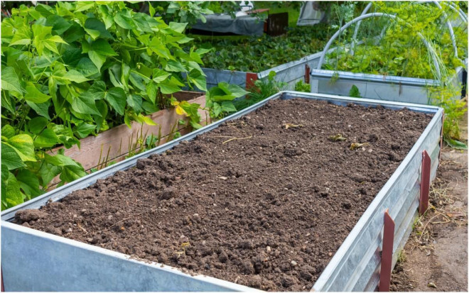 0 мульчирование пустующих грядок от сорняков