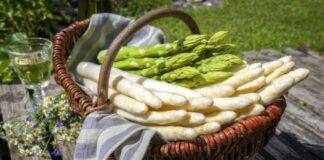 Секреты выращивания спаржи из семян: подробное руководство для садоводов выращивание спаржи из семян на грядке