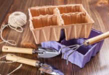 9 вещей для выращивания рассады, которые стоит подготовить осенью заранее 9 вещей для выращивания рассады