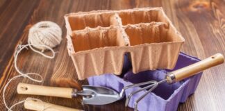 9 вещей для выращивания рассады, которые стоит подготовить осенью заранее 9 вещей для выращивания рассады