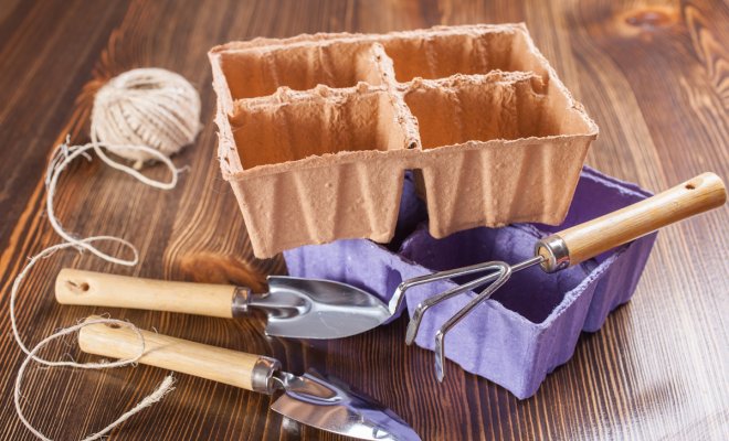 0 9 вещей для выращивания рассады