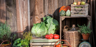 Подготовка погреба к осеннему хранению урожая: пошаговое руководство