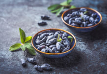 Не горчит и не вымерзает: новые сорта жимолости новые сорта жимолости