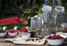 8 ягод, которые буквально созданы для настоек настойки из ягод