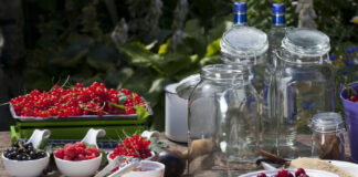8 ягод, которые буквально созданы для настоек настойки из ягод