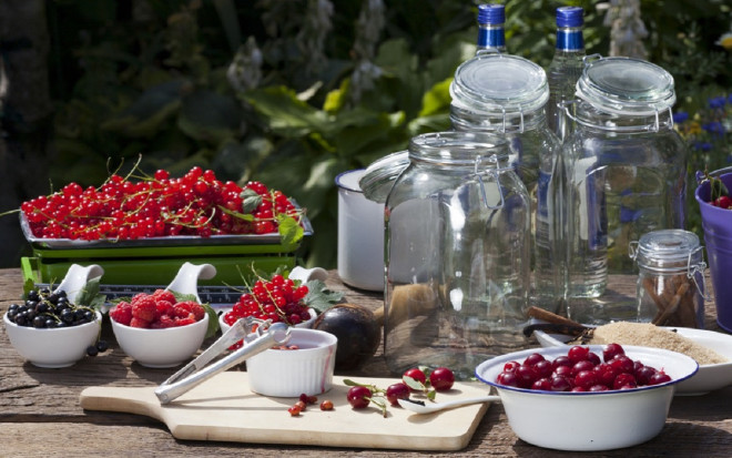 0 настойки из ягод