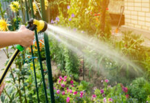 Ошибки при поливе, которые губят растения: как избежать и правильно поливать ошибки при поливе растений