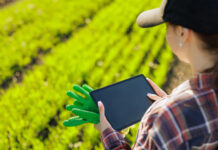 Умный сад: 7 технологий для самых современных дачников умный сад технологии