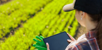 умный сад технологии