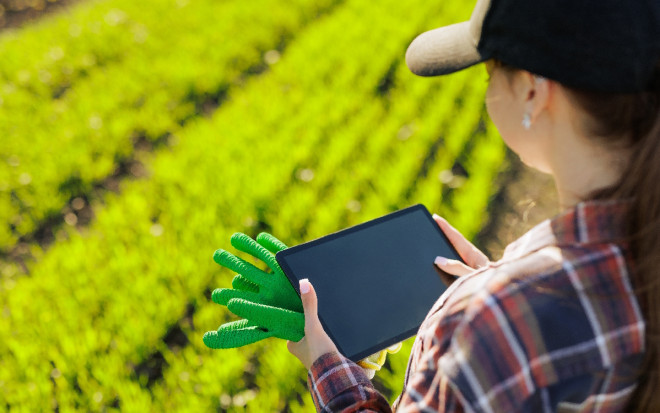 0 умный сад технологии