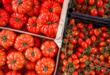Как сохранить свежие помидоры подольше после сбора хранение свежих помидоров