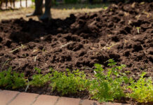 Готовим грядки под зиму: пошаговый план подготовки огорода осенью готовим грядки под зиму в огороде осенью
