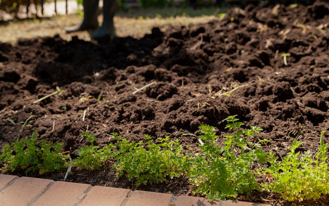 0 готовим грядки под зиму в огороде осенью