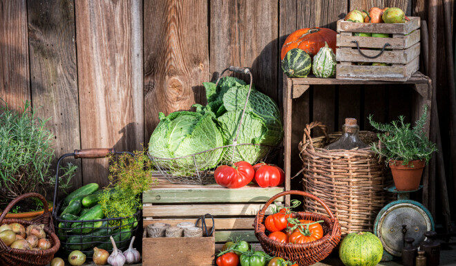 Подготовка погреба к осеннему хранению урожая: пошаговое руководство