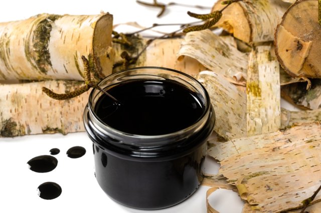 березовый деготь для защиты луковиц тюльпанов от грызунов