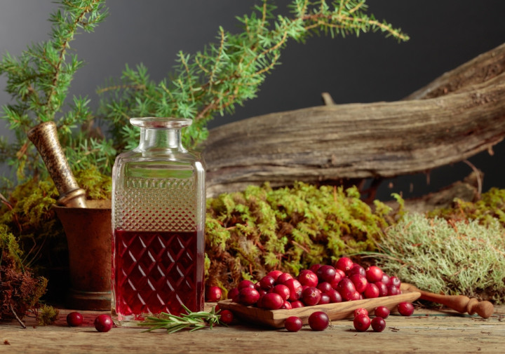 Клюква для настоек – рецепт приготовления