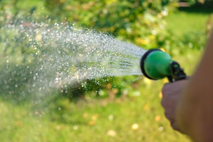 полив холодной водой и стресс для растений