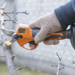 Аккумуляторный секатор: мой гид по выбору незаменимого помощника в саду аккумуляторный секатор