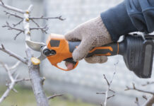 Аккумуляторный секатор: мой гид по выбору незаменимого помощника в саду аккумуляторный секатор