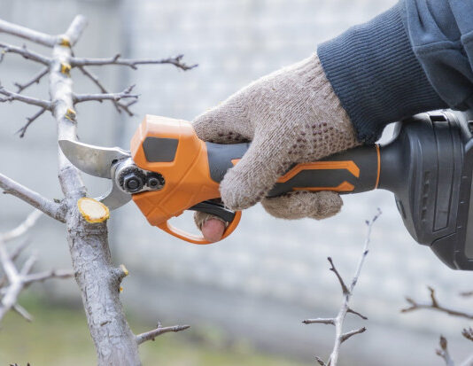 Аккумуляторный секатор: мой гид по выбору незаменимого помощника в саду аккумуляторный секатор