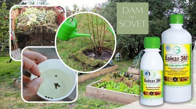 хранение минеральных удобрений